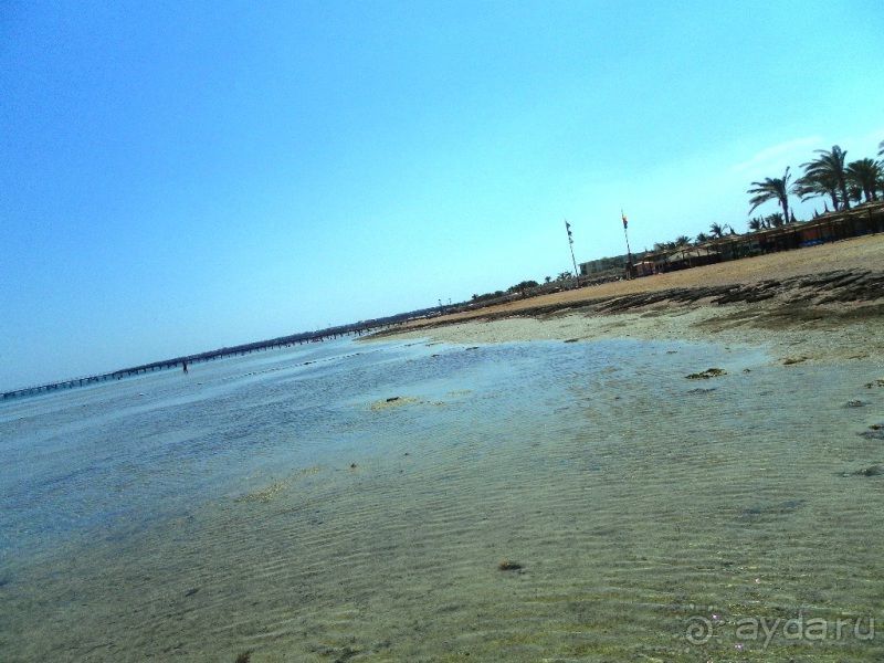 фото Sea Beach Aqua Park Resort