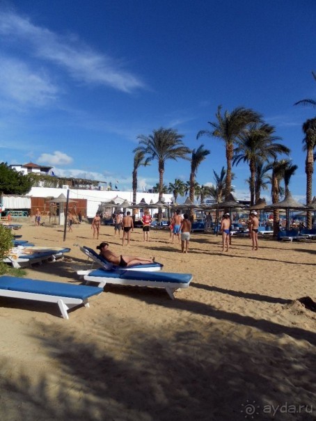 фото Marlin Inn Azur Resort 