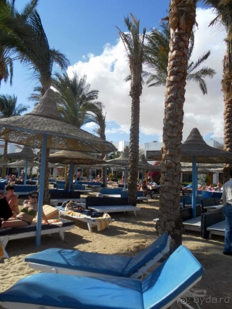 фото Marlin Inn Azur Resort 