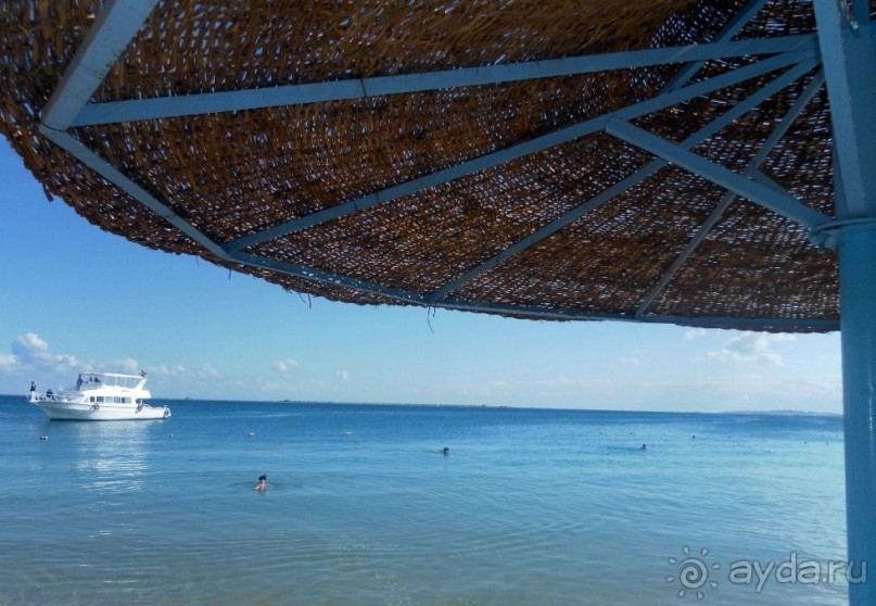 фото Marlin Inn Azur Resort 