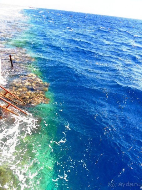 фото Rixos Sharm El Sheikh