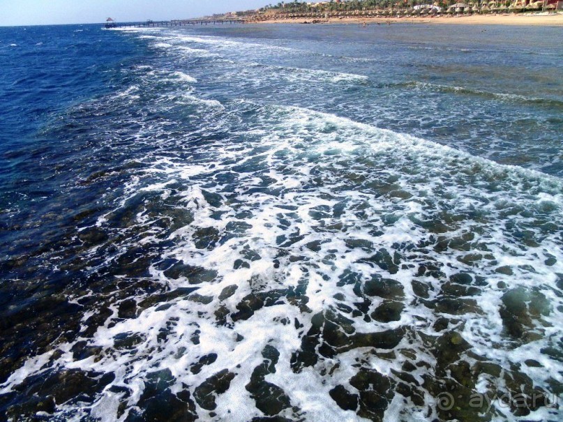 фото Rixos Sharm El Sheikh