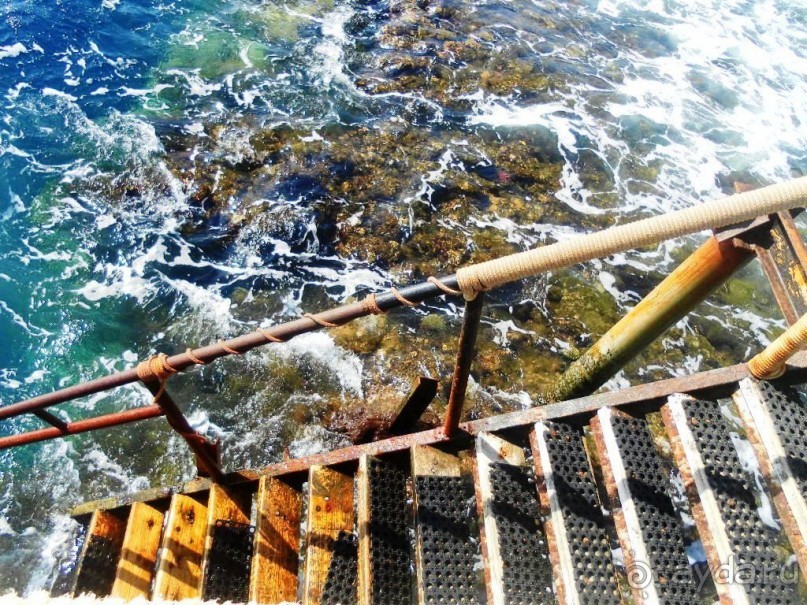 фото Rixos Sharm El Sheikh