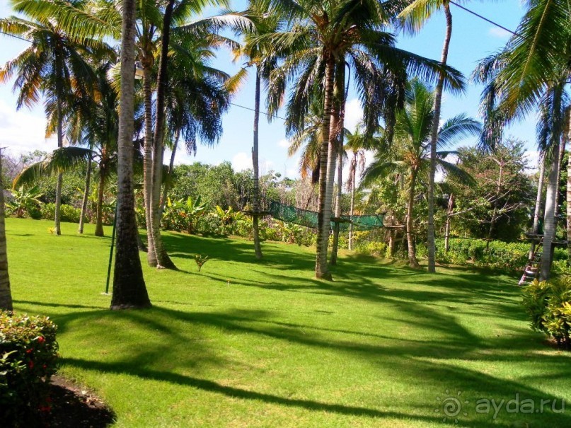 фото Melia Caribe Beach Resort