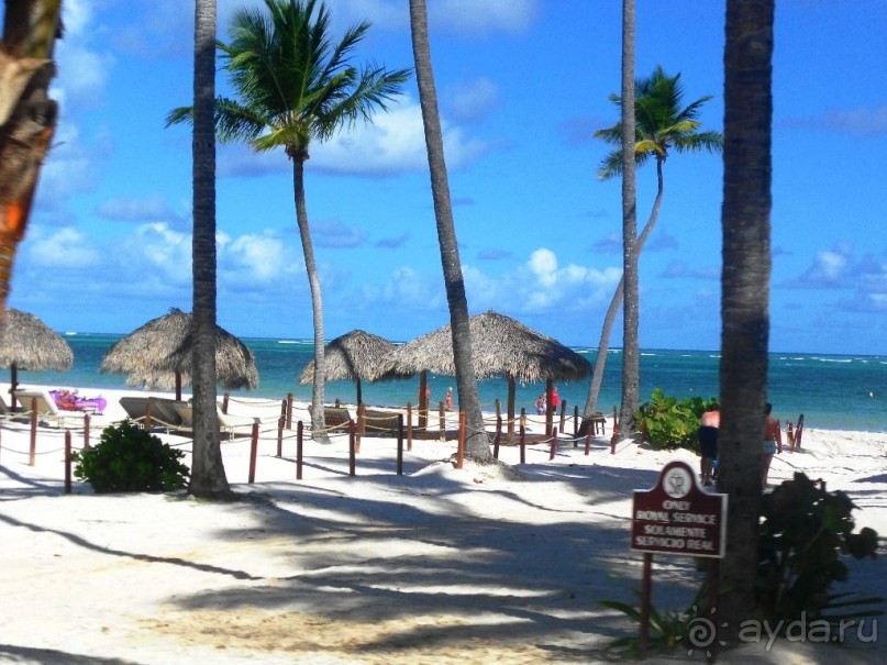 фото Melia Caribe Beach Resort