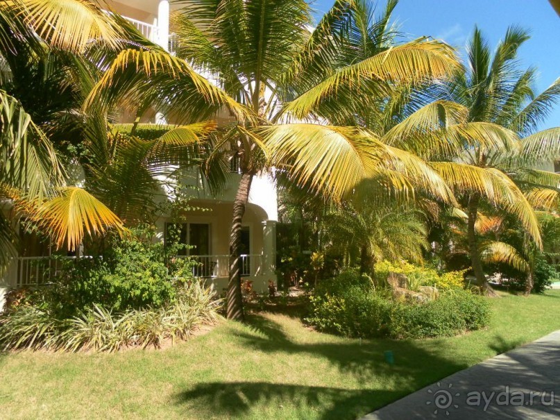 фото Melia Caribe Beach Resort