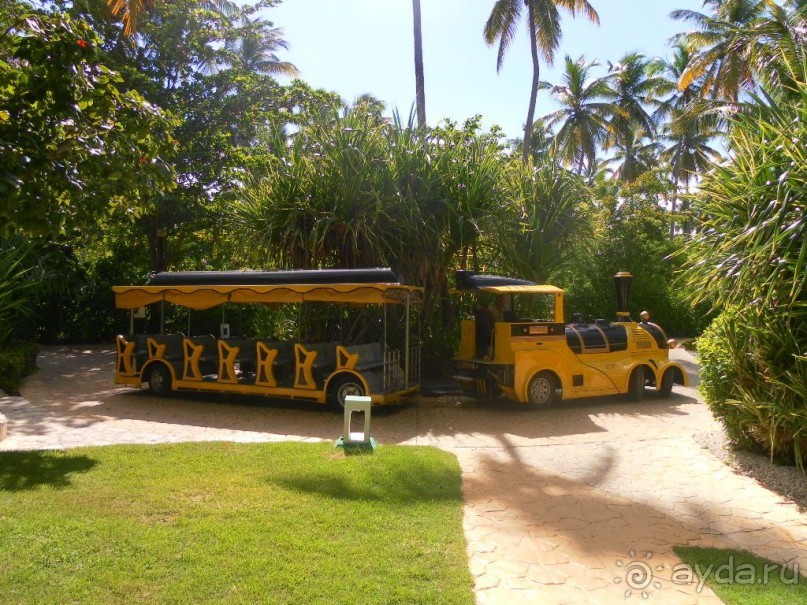 фото Melia Caribe Beach Resort