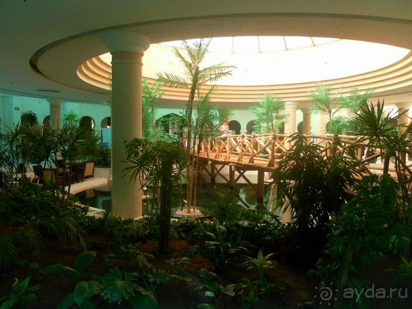 фото Royal Savoy Sharm El Sheikh