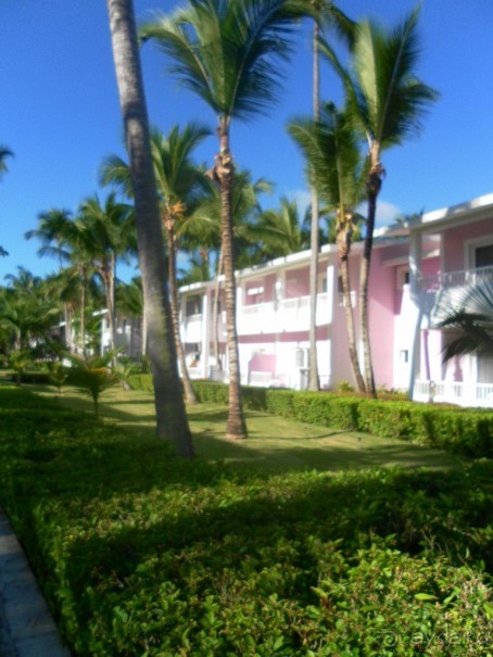 фото Riu Palace Punta Cana