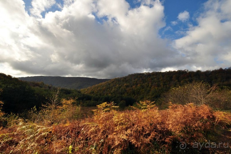 Абхазия. Осень 2011. "Семь Чудес Страны Души".
