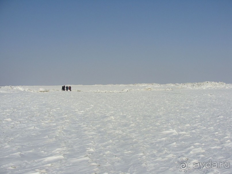 Зима на Азове, Арабатская стрелка, вилла Элизиум
