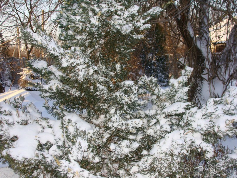 Зима на Азове, Арабатская стрелка, вилла Элизиум