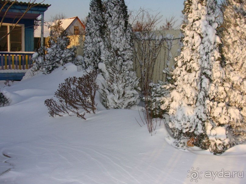 Зима на Азове, Арабатская стрелка, вилла Элизиум