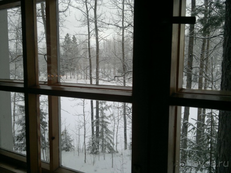 Зимняя сказка + шоппинг без границ!