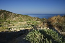 По настоящему свободна...