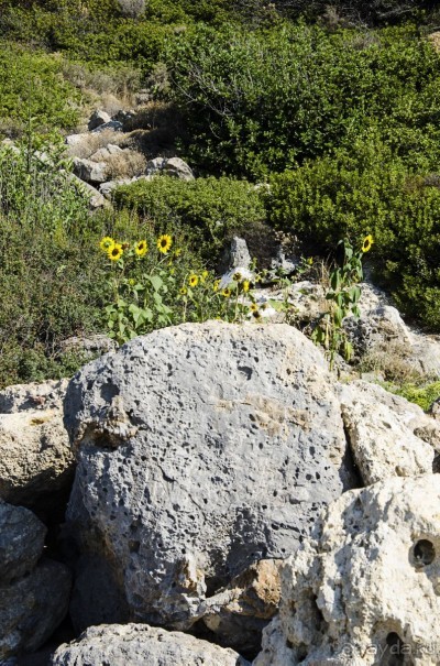 По настоящему свободна...
