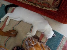 Египетская Венеция!