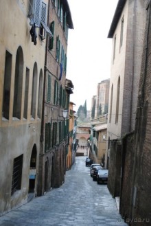 Флоренция любовь моя!