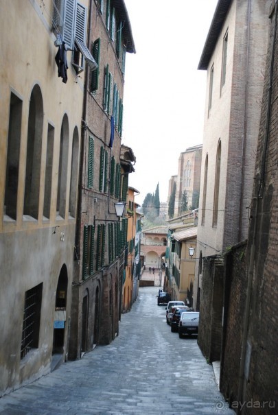 Флоренция любовь моя!