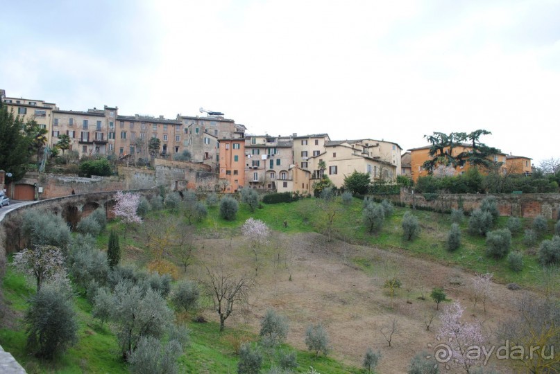 Флоренция любовь моя!