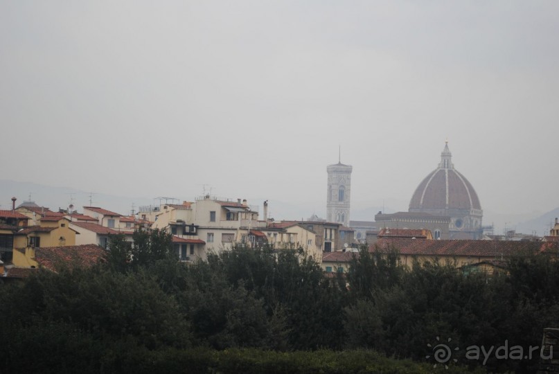 Флоренция любовь моя!