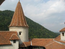 Румыния