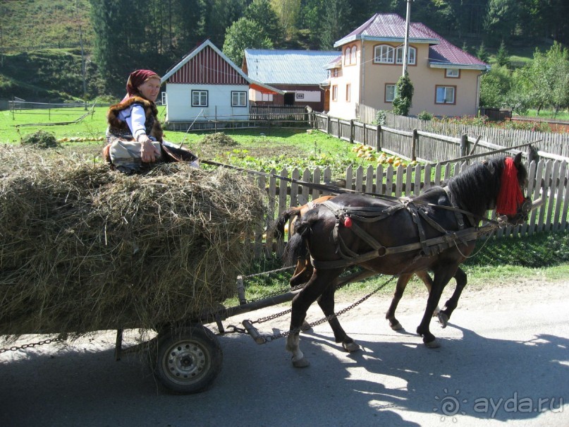 Румыния