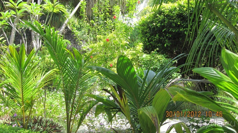 Медупару Экзотик Вилладж