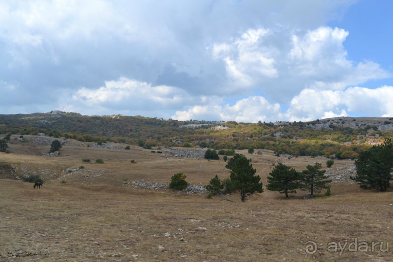 Красота Ай-Петри и назойливый "сервис"