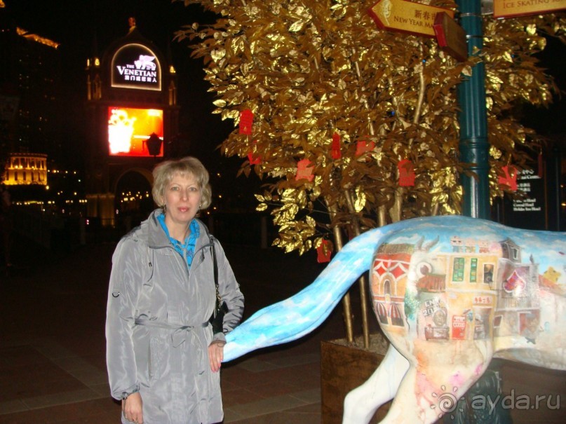 отдых в Макао январь 2014