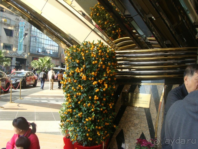 отдых в Макао январь 2014