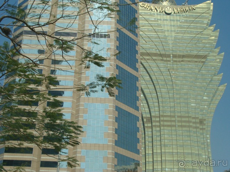 отдых в Макао январь 2014