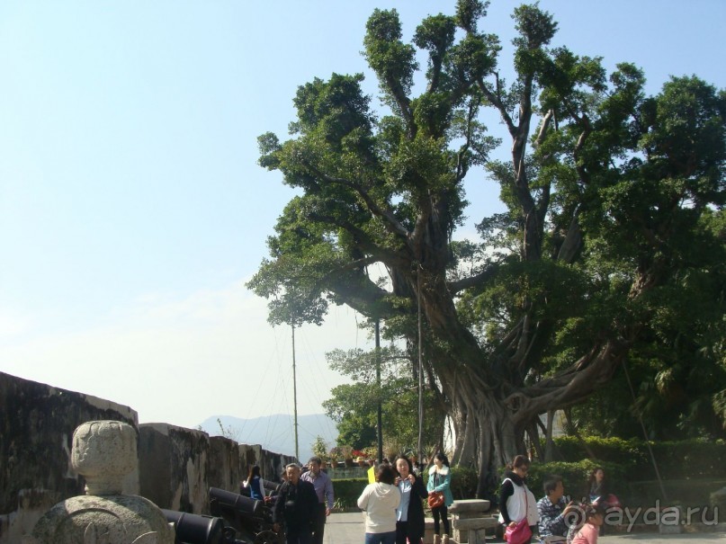 отдых в Макао январь 2014