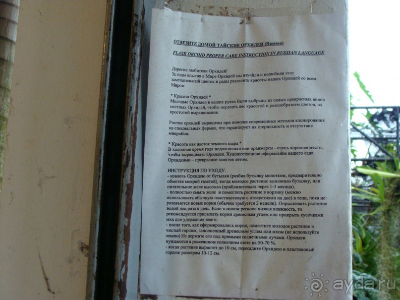 Таиланд март 2011