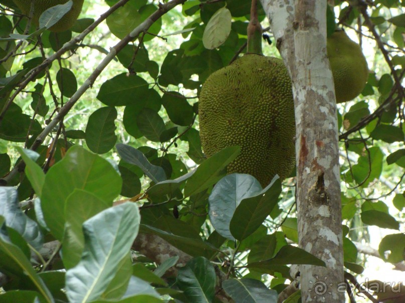 Таиланд март 2011