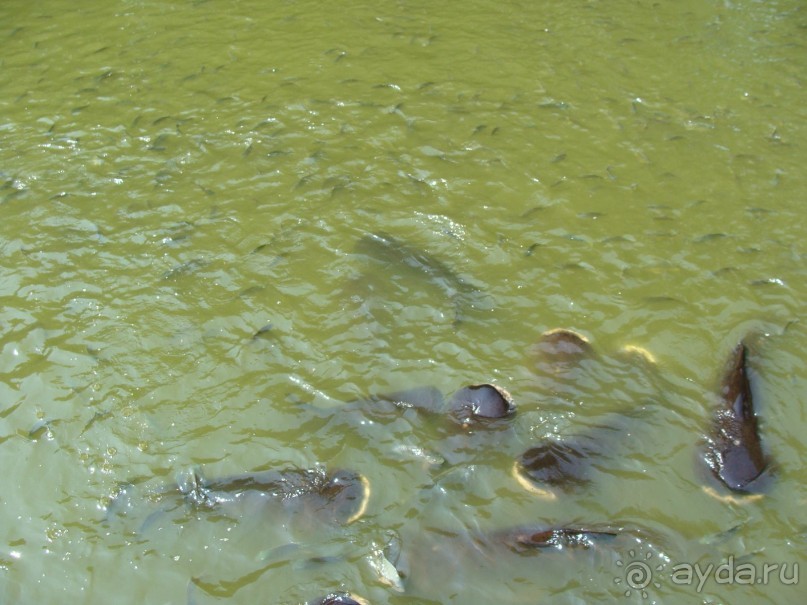 Таиланд март 2011