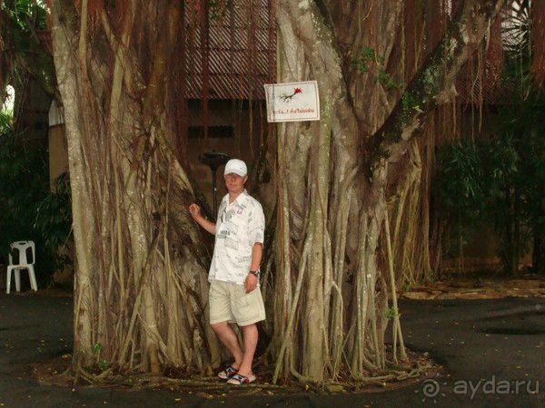 Таиланд март 2011