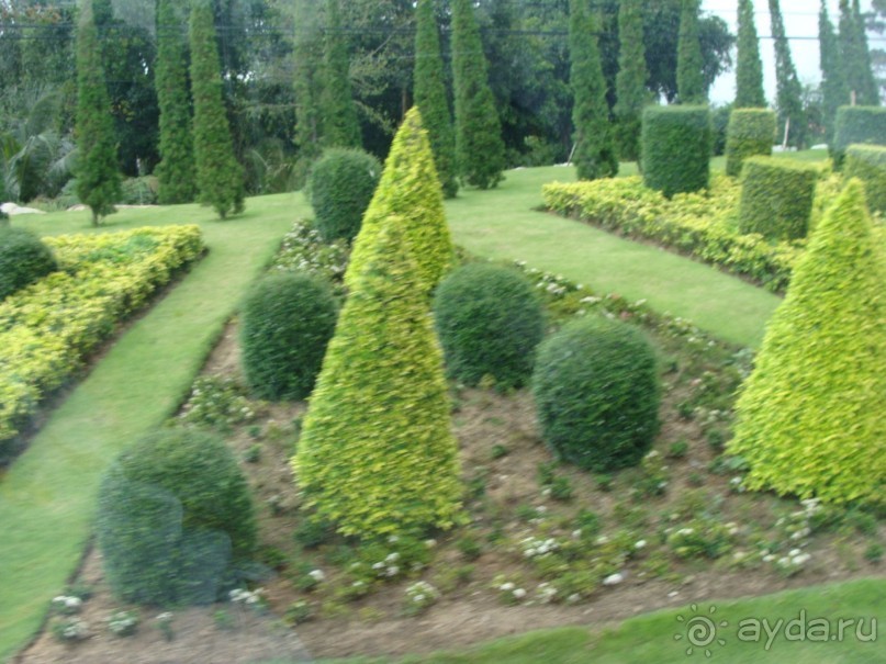 Таиланд март 2011