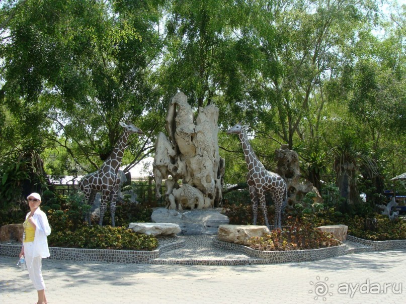 Таиланд март 2011