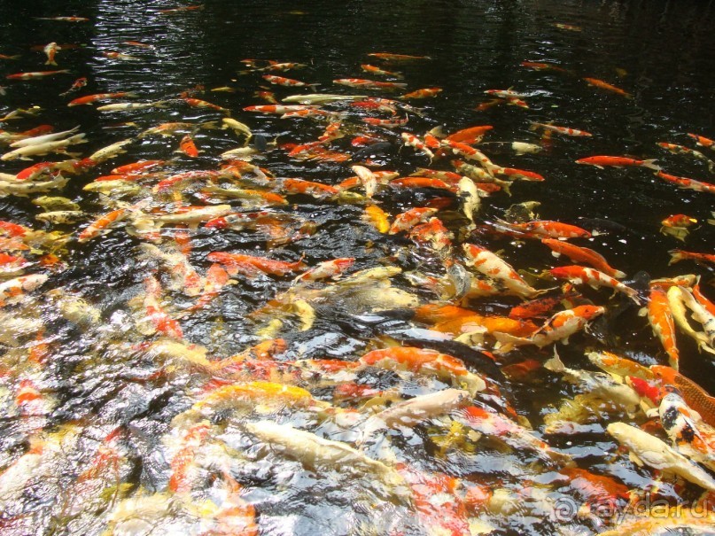 Таиланд март 2011