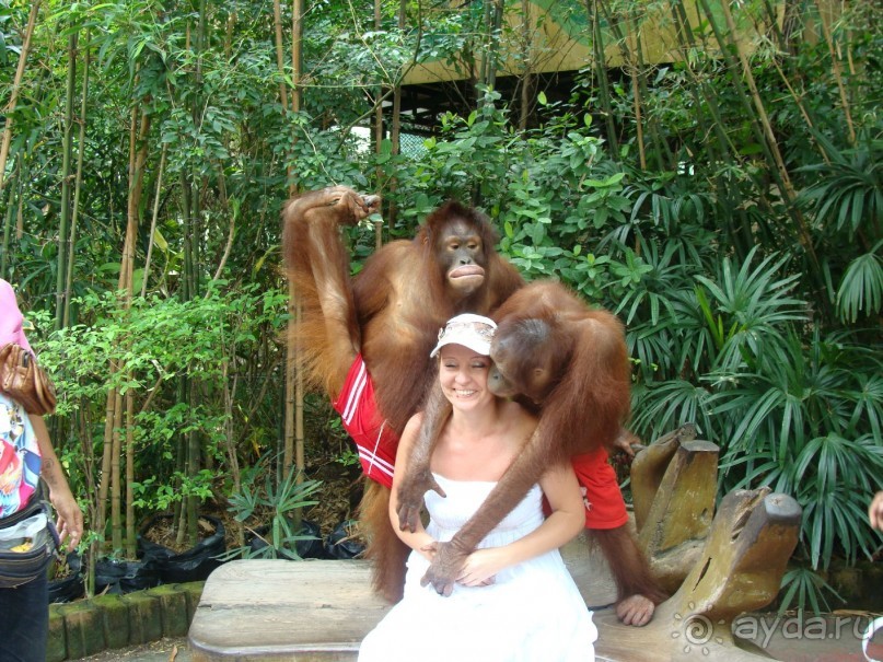 Таиланд март 2011