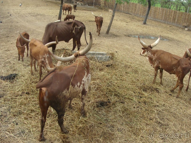 Таиланд март 2011