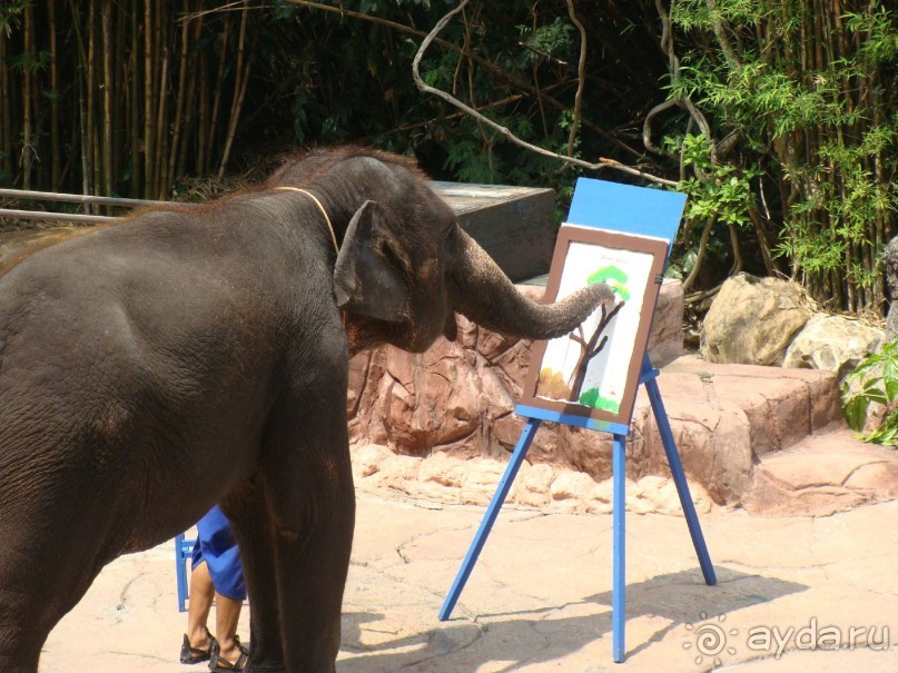 Таиланд март 2011