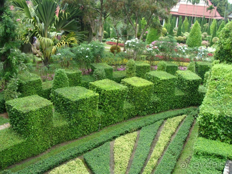 Таиланд март 2011