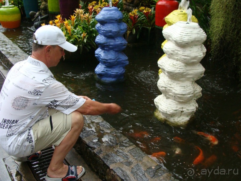 Таиланд март 2011