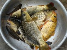 Отдых во Вьетнаме февраль 2012