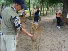 Отдых во Вьетнаме февраль 2012