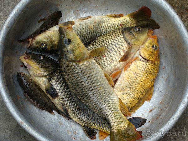 Отдых во Вьетнаме февраль 2012