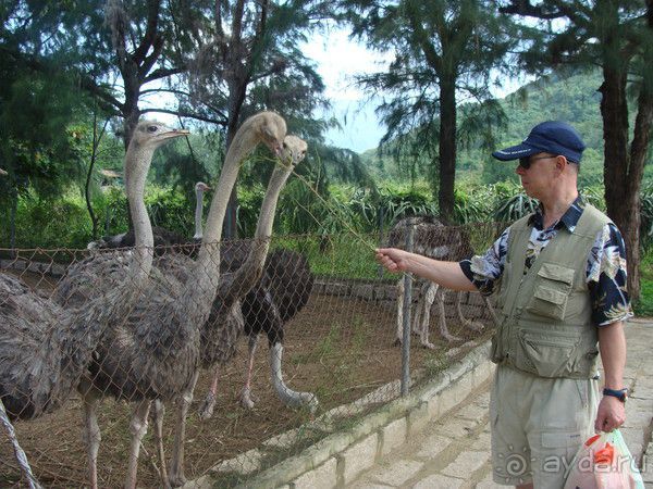Отдых во Вьетнаме февраль 2012