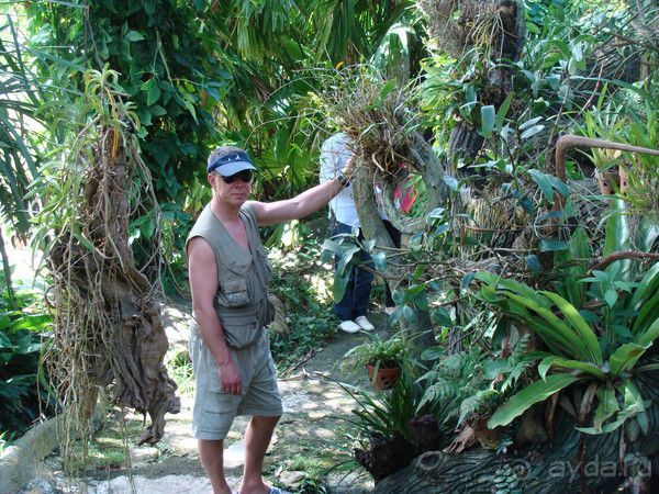 Отдых во Вьетнаме февраль 2012